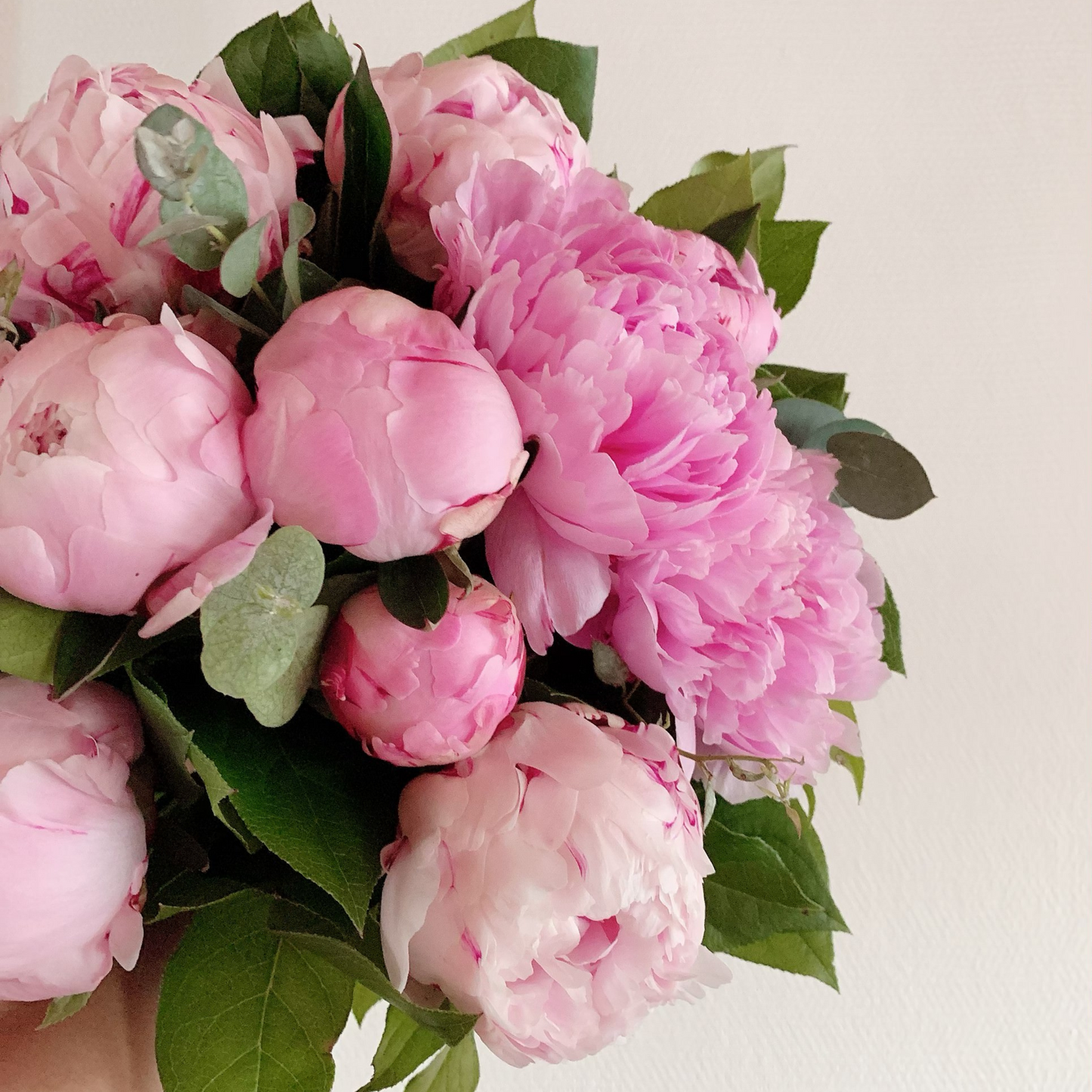 Peony Subscription